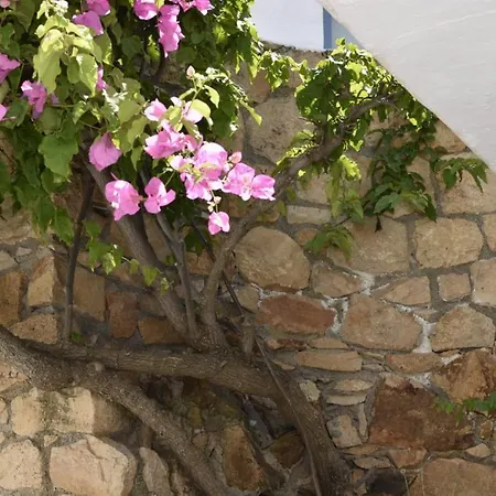Patmos Cute Seafront Escape For 3 * Grikos Bay (Patmos)